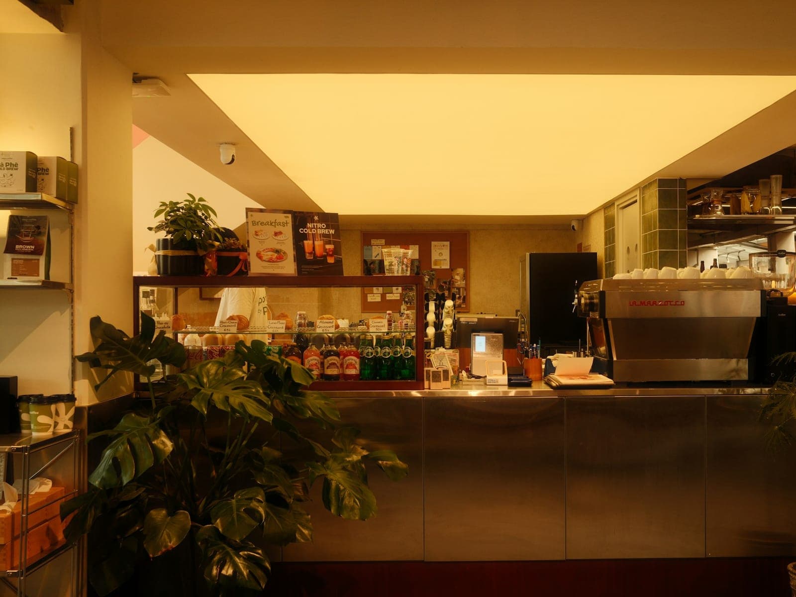 A warm café counter with an espresso machine, a pastry case and leafy plants